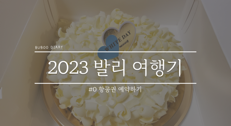  2023년 발리 여행#0 초특가 항공권과 함께 급 발리 여행 확정! +저렴한 비행기 티켓을 찾아내는 나름의 팁 공유