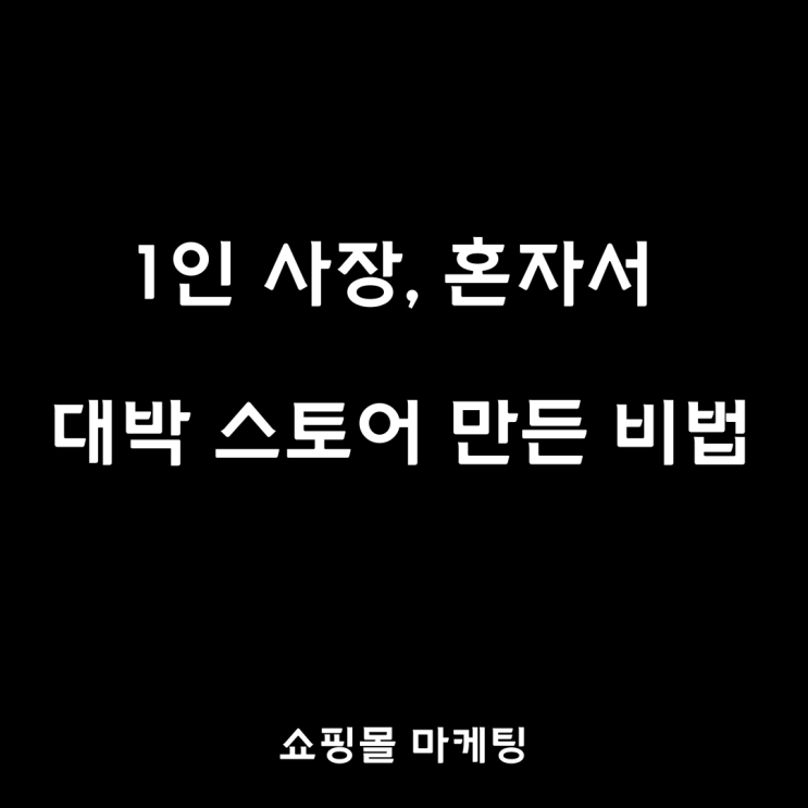  쇼핑몰마케팅, 혼자 2달 만에 월 매출 3천 찍은 비법