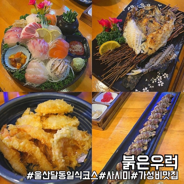  울산 사시미 세트 가성비 찐 맛집 붉은우럭 울산점!