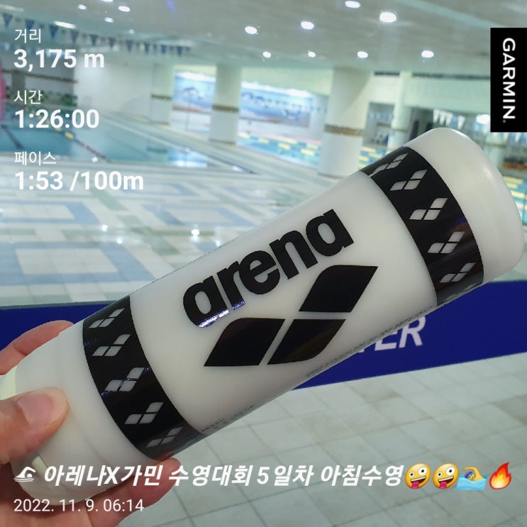  [수영일기] 아레나X가민 수영대회 5일차