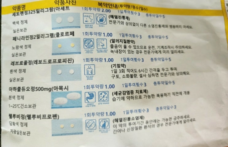  Daddy 로스 38.5도 코로나인가?!몸살인가?! 그것이 문제로다 #2