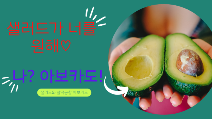  샐러드에 아보카도를 더해 노화방지, 항산화 효과와 영양 흡수율 두배로