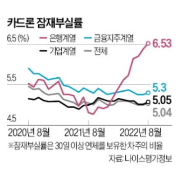 카드론 , 30일 이상 연체 대출자 급증