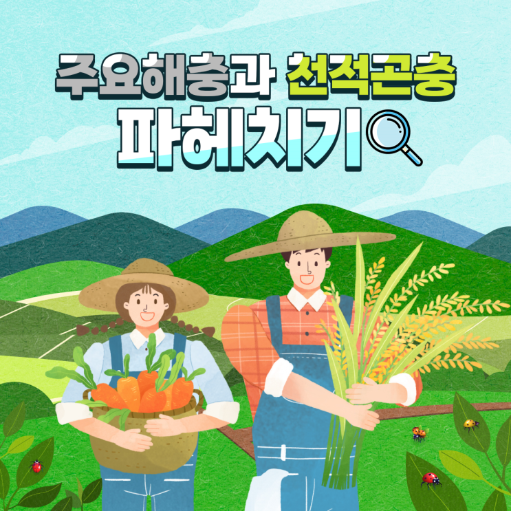  주요해충과 천적곤충의 관계성!