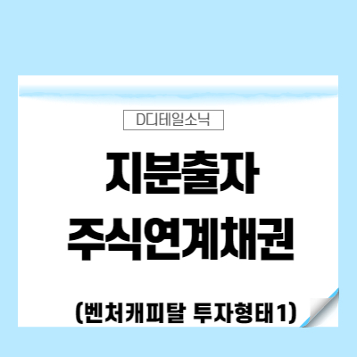  지분출자 주식연계채권(상환전환우선주 전환사채 신주인수권부사채)