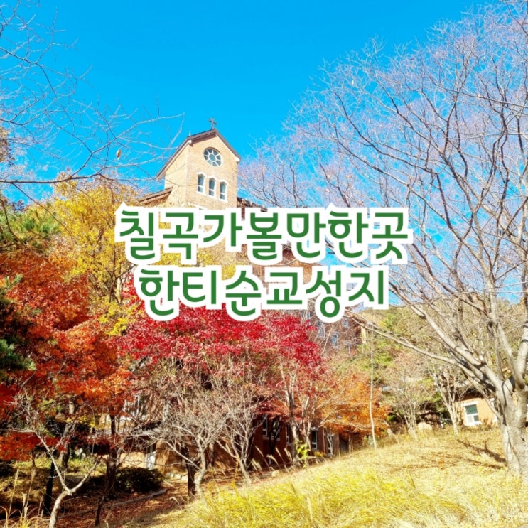 칠곡가볼만한곳 한티순교성지 feat 억새마을