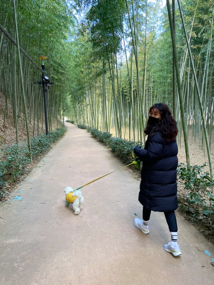  섬진강 대나무숲길 따라 강아지와 함께 당일치기 여행 :)