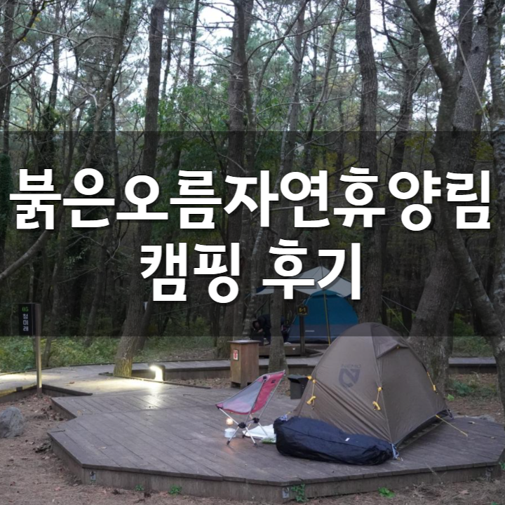  제주 붉은오름자연휴양림 야영장 5번 예약 후기. 니모아톰 1p와 페더다운 800 사용
