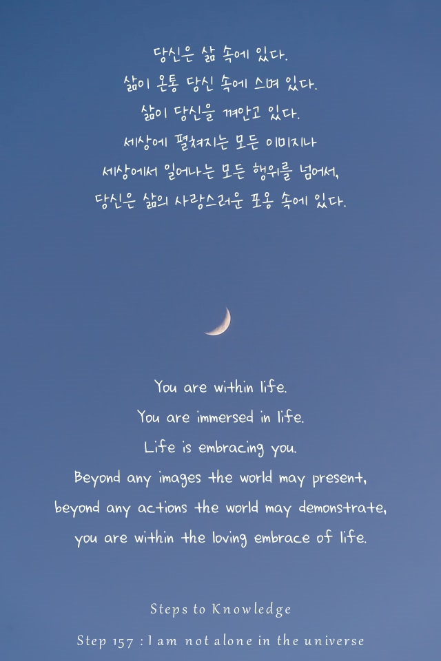 당신과 삶 당신과 삶