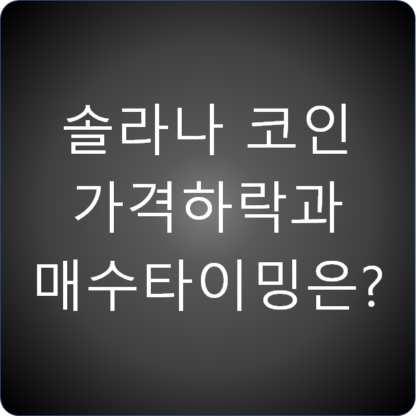  솔라나 코인 가격 하락과 매수타이밍은?