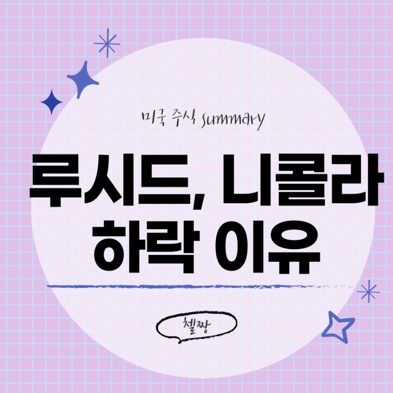 루시드 모터스 그룹 주가 니콜라 주식 미국 전기차 주식 하락 이유 : 네이버 블로그