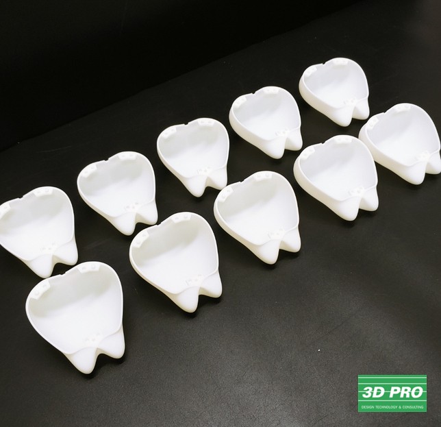 치아 모형물/3D프린팅 출력물 제작/ 3D 프린터로 시제품 제작/대학생 졸업작품/SLA 레이저 방식/ABS Like 레진 소재/ 쓰리디프로/3D프로/3DPRO