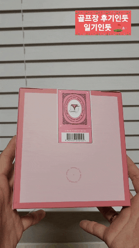 여자 티팬티 추천 (글램모먼트 드레스 업 티팬티)