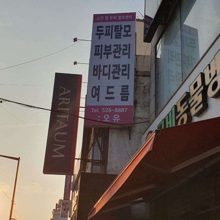 대전두피/대전탈모/대전두피관리 오류동 스킨앤 두피 탈모센터 오유 대전두피/대전탈모/대전두피관리 오류동 스킨앤 두피 탈모센터 오유
