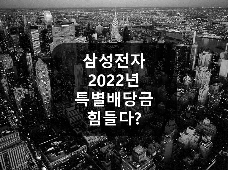  2022년 삼성전자 특별배당 힘들 것 같습니다.