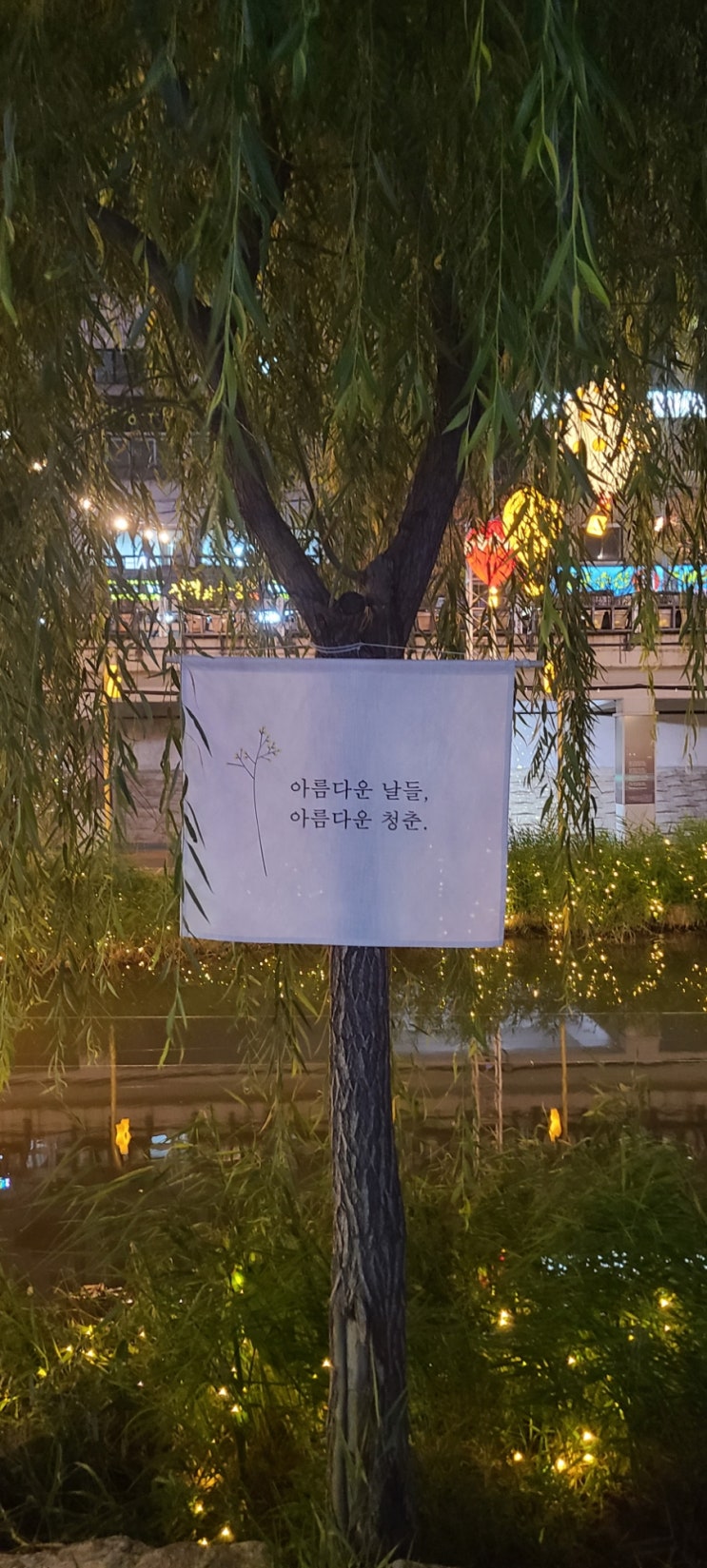   별빛내린천 이른크리스마스