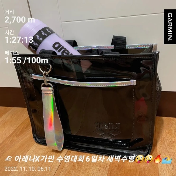  [수영일기] 아레나X가민 수영대회 6일차