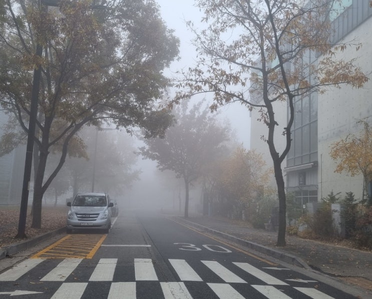  코로나 4차 접종, 일산 라페스타 점심 혼밥 강릉집, 안개 속의 출근