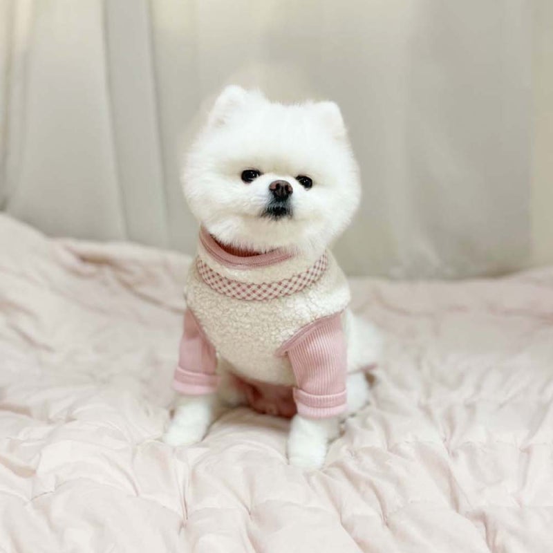 강아지 후리스 조끼 집업 체크가 살짝쿵!! 댕댕이 겨울준비 후리스!