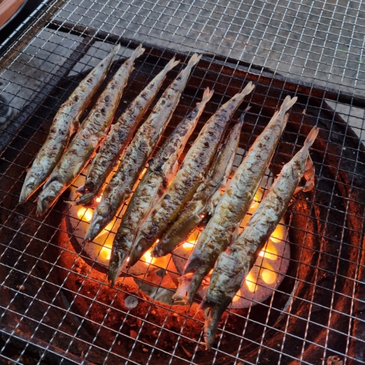  속초 동명항 오징어난전 최애 포차 분위기 양미리랑 도루묵 생선구이 드세요!