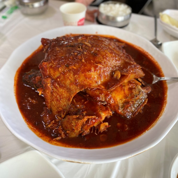  속초 생선찜 맛집 황가네찜 솔직 후기
