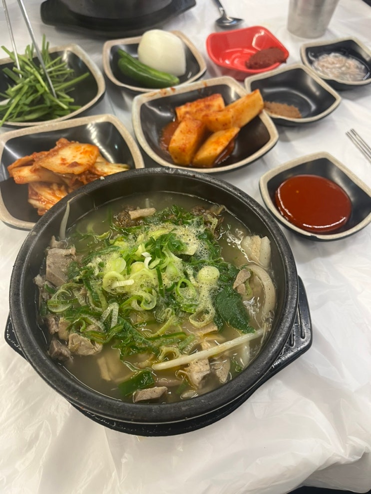  여수학동국밥집 여수시청아침식사 내가 조선의 국밥이다 여수내조국국밥 모듬국밥 얼큰해장국 내돈내산 후기