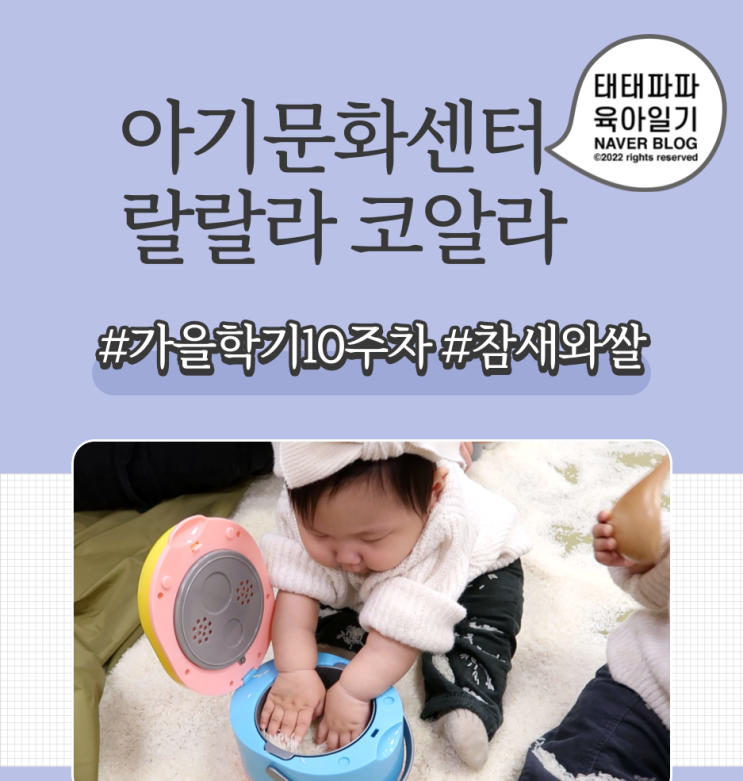  김포문화센터 랄랄라코알라 (구: 날아라병아리) 참새와 쌀 생후9개월 쌍둥이
