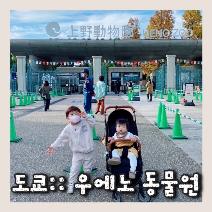  도쿄 우에노동물원 아이와 함께 가볼만한 곳 여행지 추천 上野動物園