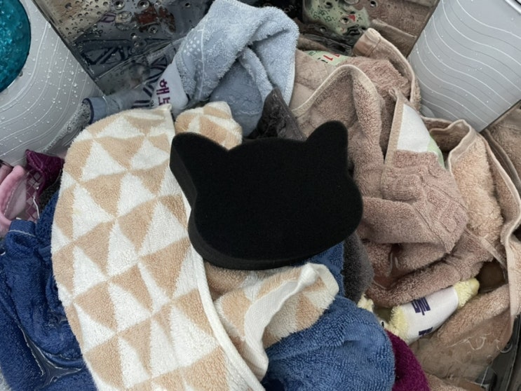 일상공감 깔끔냥이 먼지제거 개털 고양이털 제거 꿀템