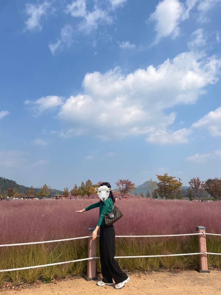  11월 초 데일리룩 ootd