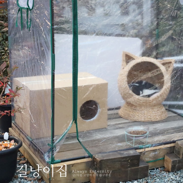  길냥이집, 고양이 겨울집 재정비 2탄!