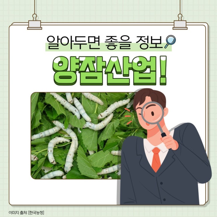 '입는 산업'에서 '먹는 산업'으로! 양잠산업의 변신~알아보기