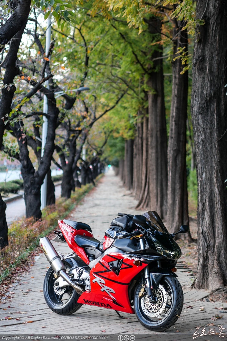  2022.11.06 올드바이크 CBR954RR 과 함께... 시작했다가 호넷250과 함께 진해 용원에서 짬뽕 먹고 복귀.