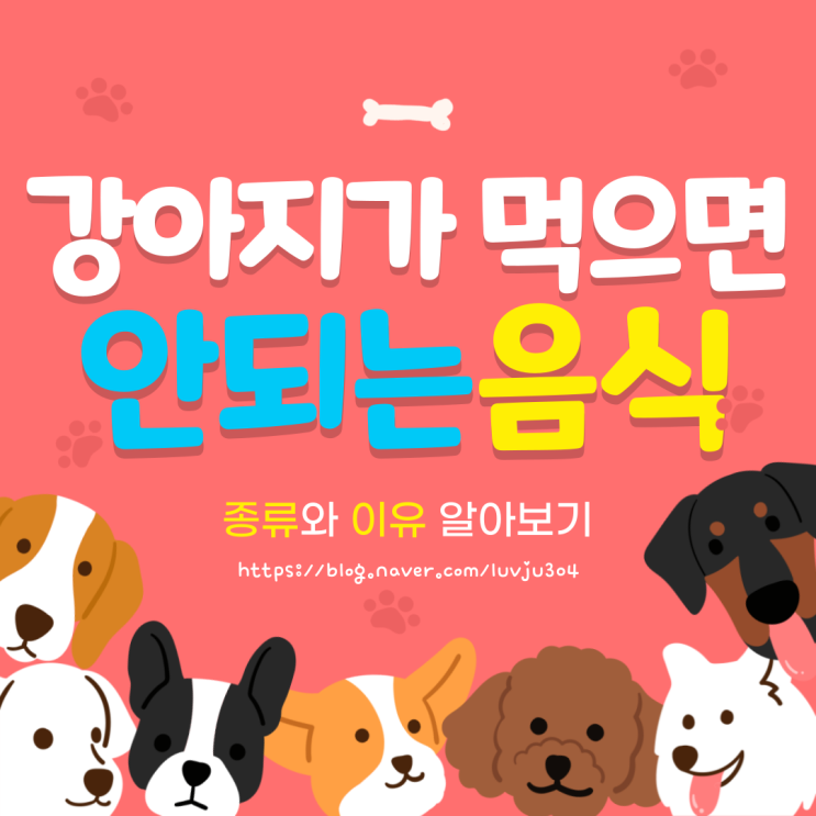  강아지 먹으면 안되는 음식 종류와 이유 알아보기