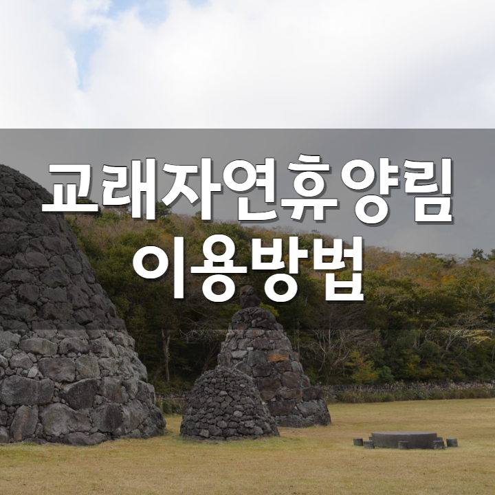  제주 캠핑장 교래자연휴양림 야영장 예약 방법 및 잔디 데크 원두막 사이트 특징