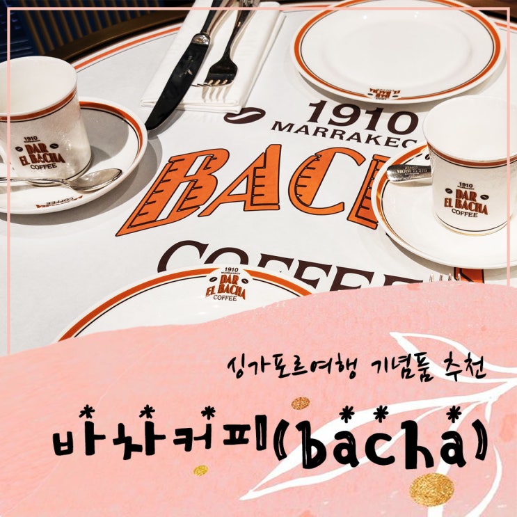  싱가포르여행 바샤커피 bacha coffee 기념품 추천 바차커피