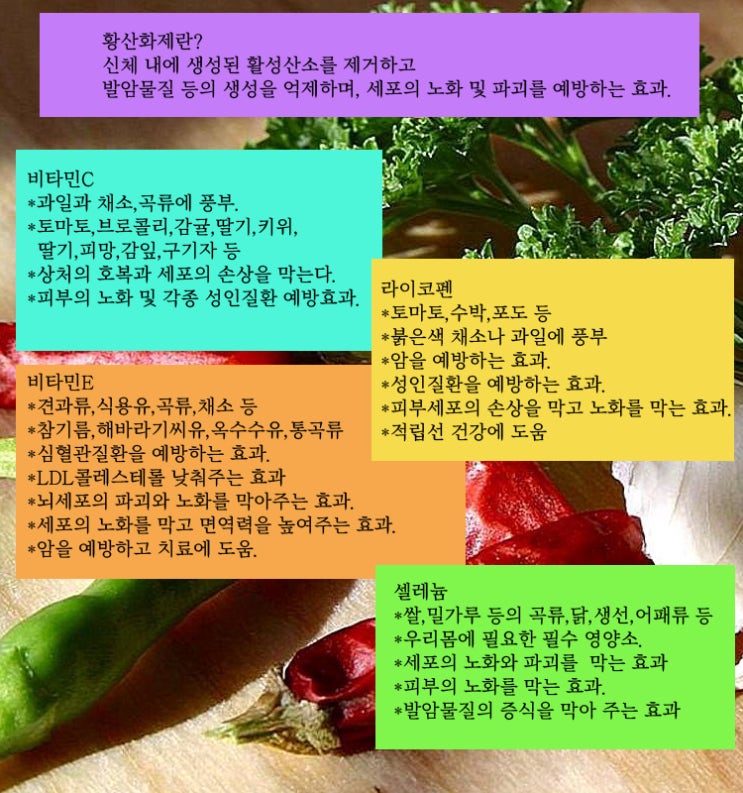 알파리포산의 효능