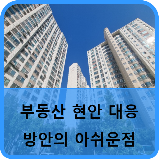  부동산시장 현안 대응 규제완화에 대한 주관적 견해
