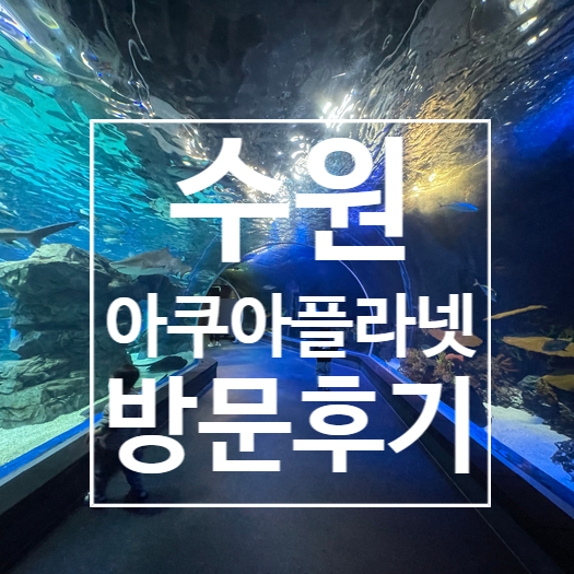  [수원] 광교 아쿠아플라넷 , 아이와 갈만한곳 ,경기도 아쿠아리움 후기
