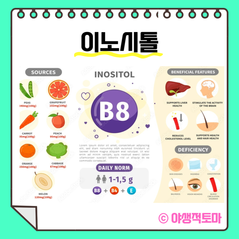 콜린이노시톨 효능과 마이오이노시톨 효능, 제품 선택은 어떻게 하나요? 5