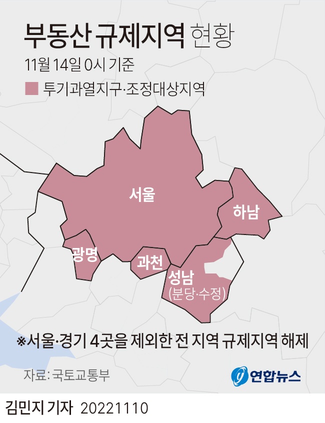  부동산 투자 포인트 - 11.10 부동산 대책에 대응