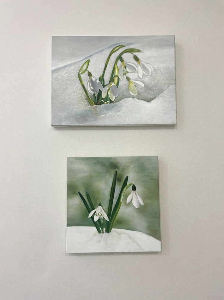  강남 서초동 화실 아뜰리에복 화실 유화 배우기 설강화(snowdrop)