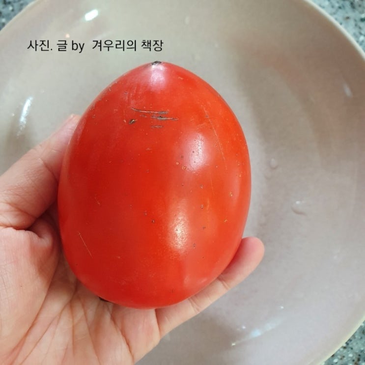  대봉감 홍시. 맛있다
