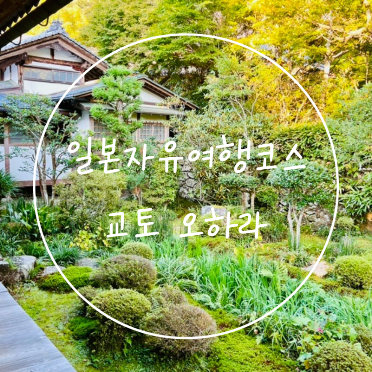  교토역 코인락커 사용법 버스타고 일본오하라 당일치기코스여행