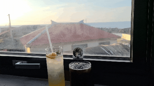 제주 애월 카페 슬로보트 아늑 고양이 slowboat 제주 애월 카페 슬로보트 아늑 고양이 slowboat