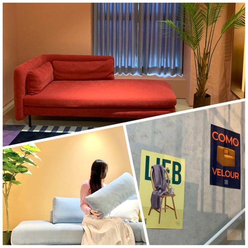 Visited Essa Sofa Namyangju Flagship Store: Experienced the Charming ESSA Park Seo-joon Sofa