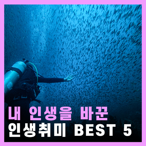  내 삶을 바꾼 인생취미 BEST 5