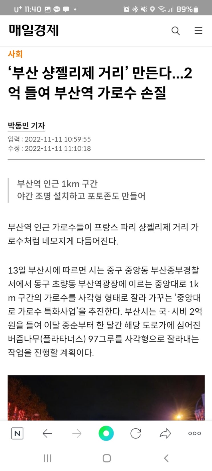  ‘부산 샹젤리제 거리’ 만든다...2억 들여 부산역 가로수 손질
