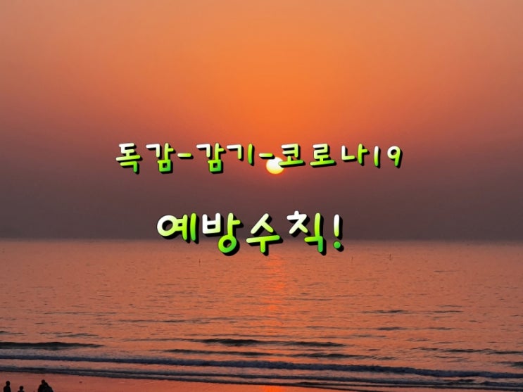 독감-감기-코로나19 예방수칙! 독감-감기-코로나19 예방수칙!