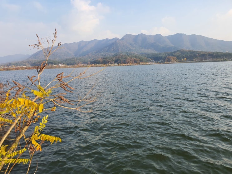  산책하며 힐링하기 좋은 대천 보령 청천저수지 호수공원과 청천저수지 둘레길